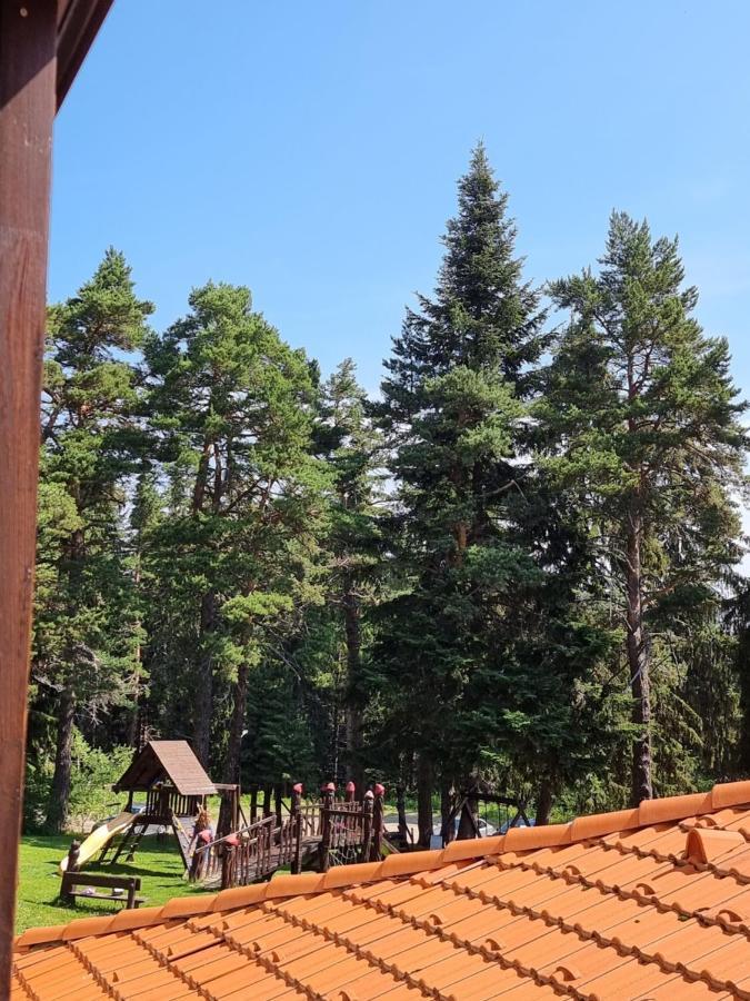 Borovets Ski&Spa Studio - Semiramida Garden A16 ภายนอก รูปภาพ